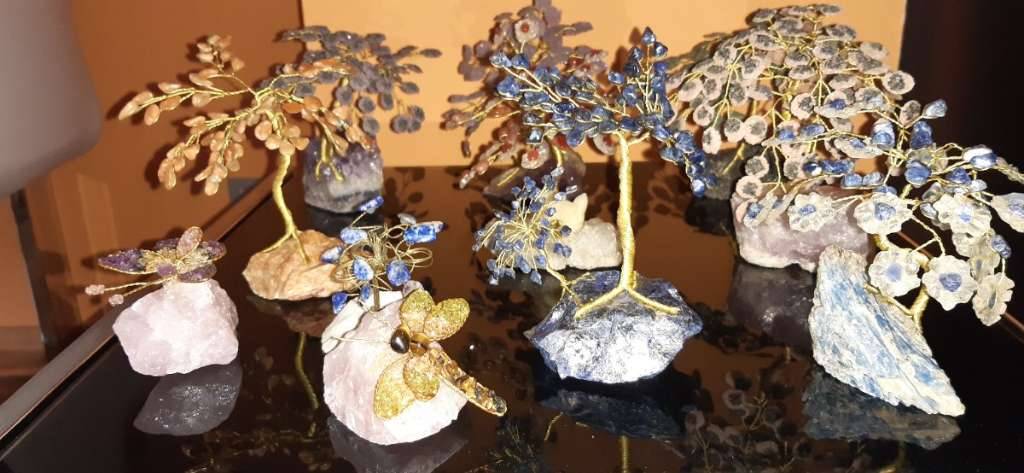 callicarpa japonica bonsai Callicarpa japonica (Toyoda-san)