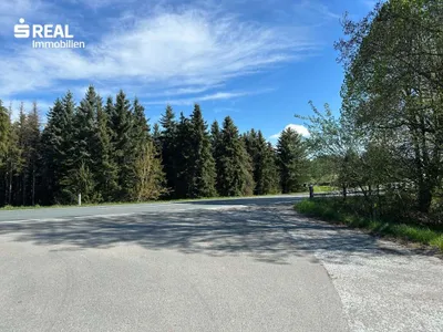 Grundstück kaufen in Graz-Umgebung – 8 799 m², € 385.000 – Bild 4 von 4