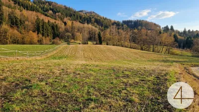 Grundstück kaufen in Melk – 114 500 m², € 880.000 – Bild 8 von 22