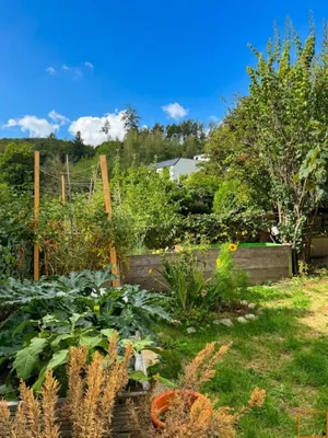 Haus mieten in Sankt Pölten Land – 120 m², € 1.799 – Bild 5 von 32