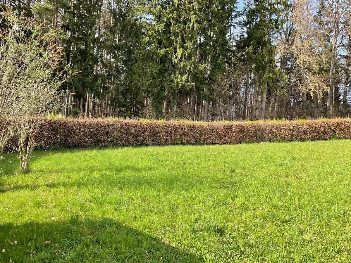 Baugrund Sonnenhang 1, 4421 Aschach an der Steyr - Ansicht 2