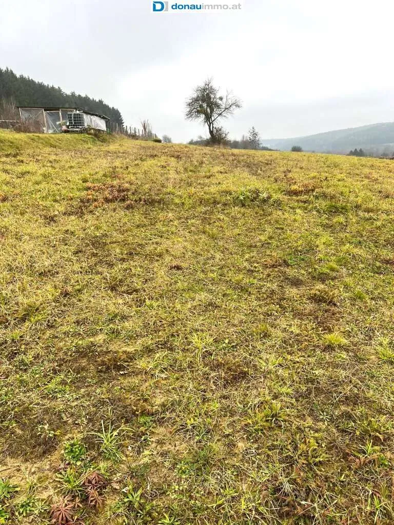 5.616 m² großes Grundstück in Olbendorf mit Erweiterungsmöglichkeit auf 1,1 ha - Ansicht 2