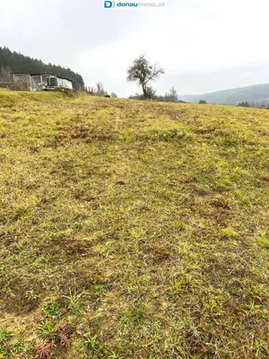 Grundstück kaufen in Güssing – 5 616 m², € 80.000 – Bild 2 von 5