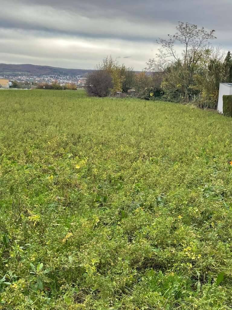 Baugrundstück - Sackgasse - Fernsicht - Ansicht 2