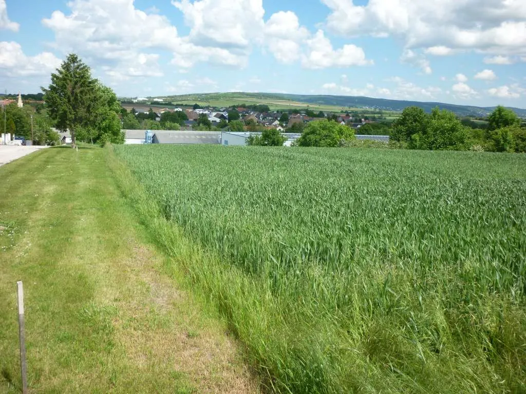 Baugrundstücke in Hirm, 8min von Eisenstadt, privat! - Ansicht 2