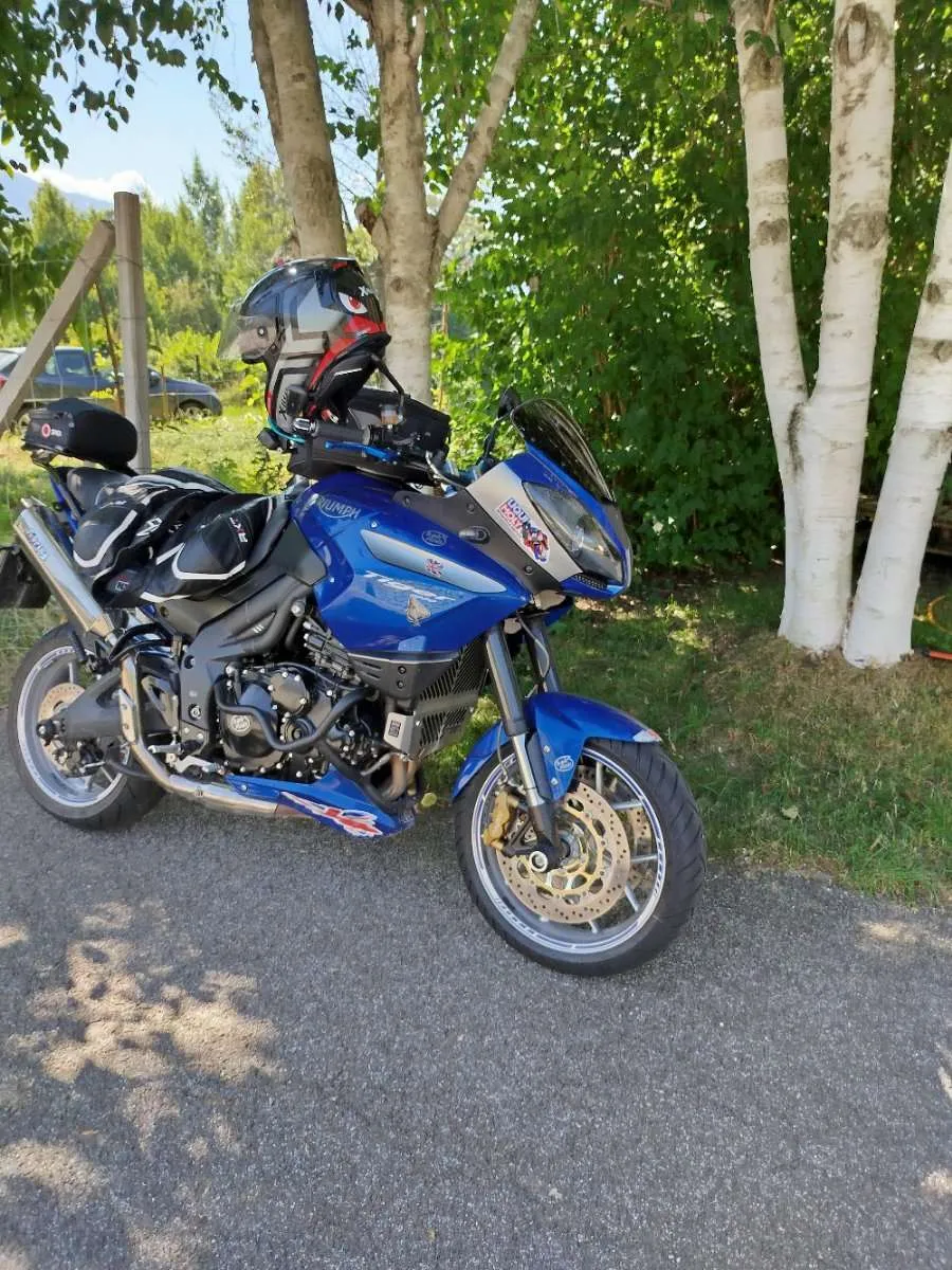 Triumph Tiger