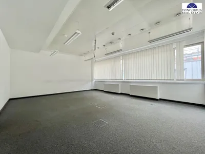 14-Zimmer-Gewerbeimmobilie mieten in Wien – 507 m² – Bild 3 von 10