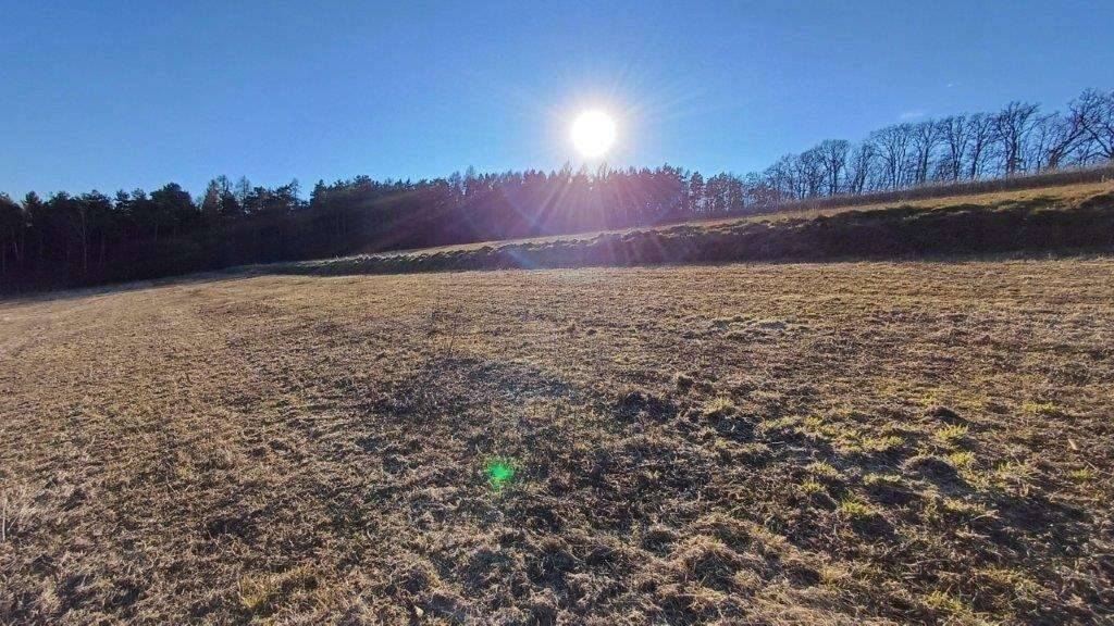 Investieren Sie in Grund und Boden - schönes Grünland für Landwirte oder Anleger! - Ansicht 3