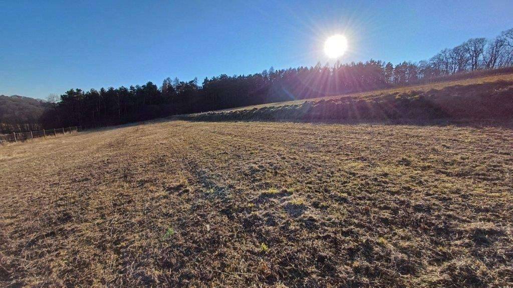 Investieren Sie in Grund und Boden - schönes Grünland für Landwirte oder Anleger! - Ansicht 2