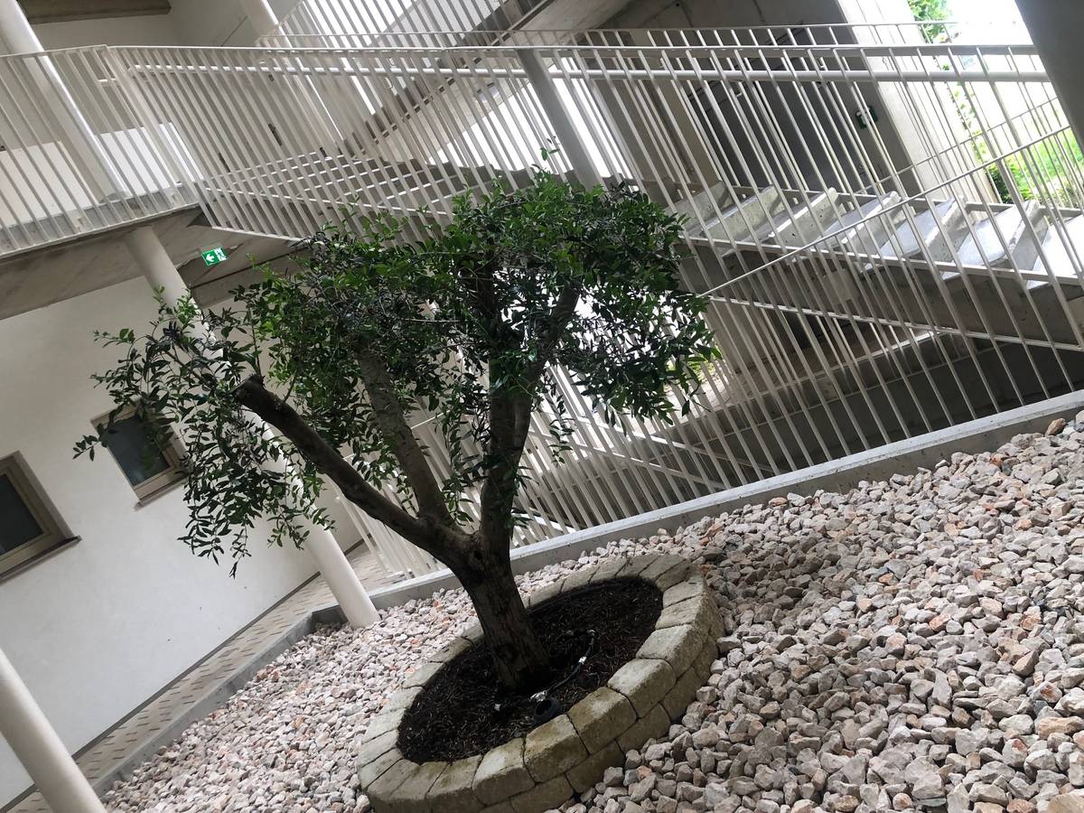 Jung - modern - sexy! Exklusive 1 Raumwohnung mit Balkon in Hart bei Graz zu vermieten! - Ansicht 2