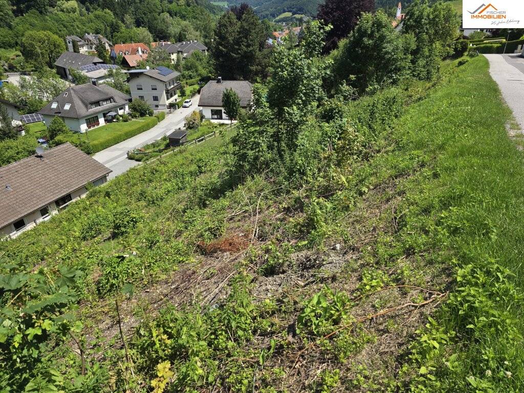 Naturverbundenes Baugrundstück mit traumhaftem Ausblick in Aspang - Ansicht 2