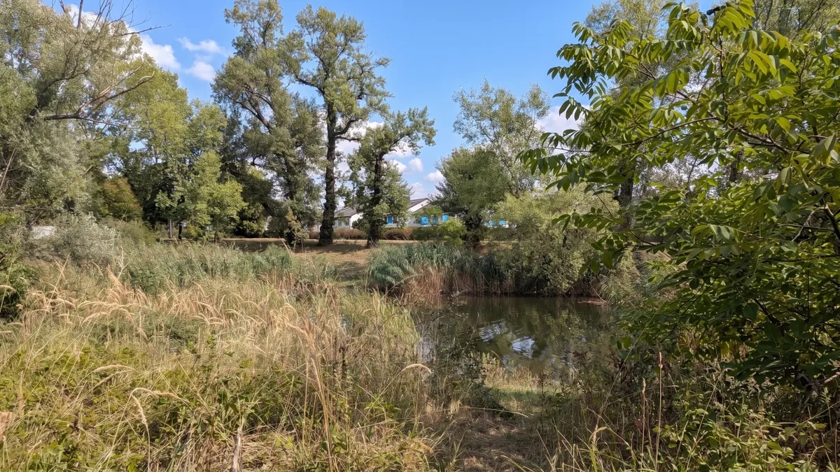 Ein Platz im Grünen beim Mühlwasser - Grundstück mit Neubaupotenzial - Ansicht 2