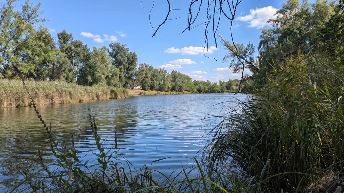 Ein Platz im Grünen beim Mühlwasser - Grundstück mit Neubaupotenzial