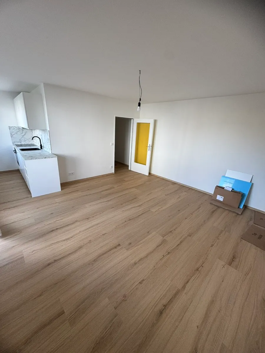 1 Zimmer Wohnung 30 m² +8 m² Balkon Renoviert - Ansicht 2