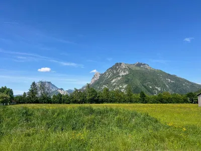 Grundstück kaufen in Gmunden – 900 m², € 243.000 – Bild 3 von 4