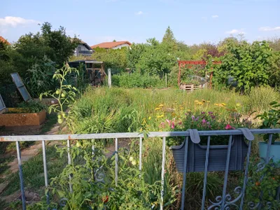 3-Zimmer-Haus kaufen in Gänserndorf – 70 m², € 269.000 – Bild 9 von 9
