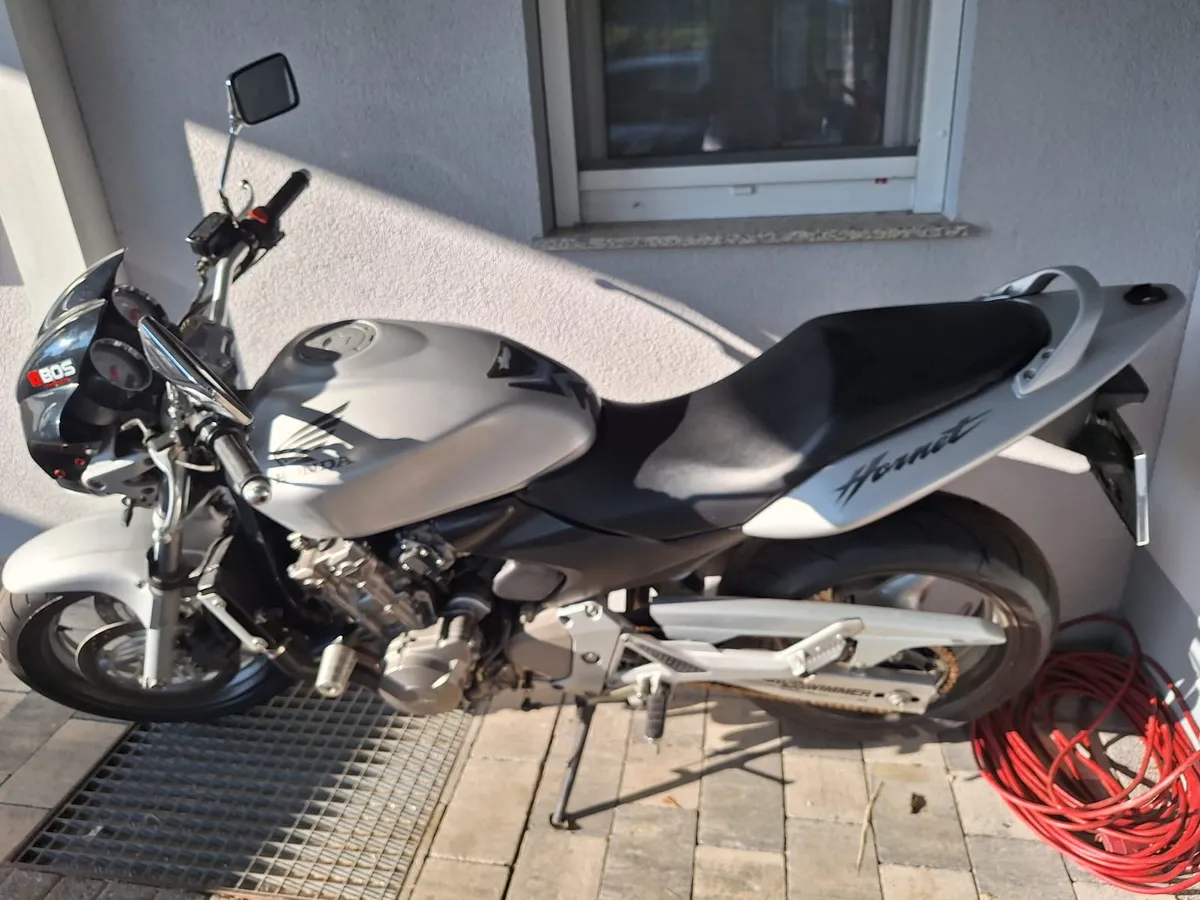 Honda Hornet