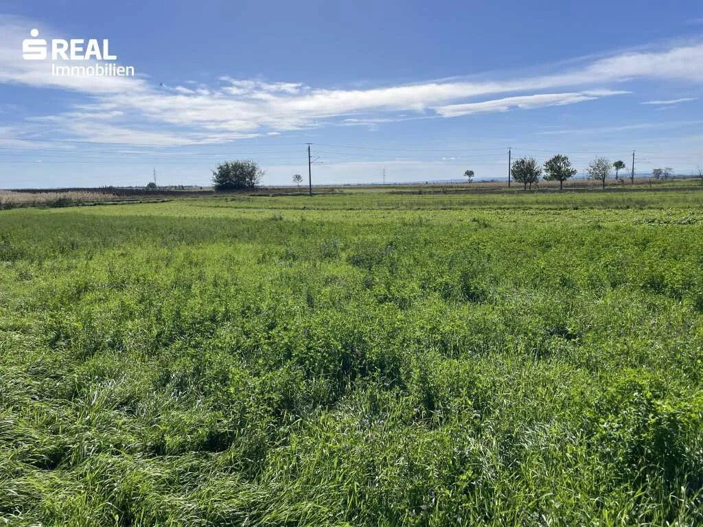 Exklusives Grundstück - Grüner Ausblick bis zum Neusiedlersee – pohled 2