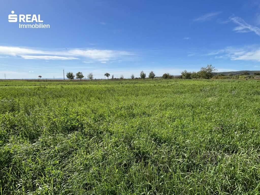Exklusives Grundstück - Grüner Ausblick bis zum Neusiedlersee, Winden am See