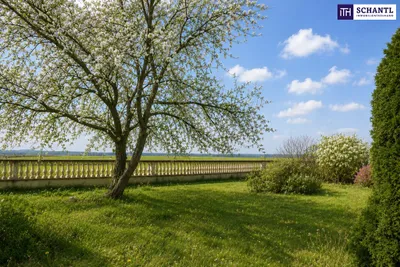 4-Zimmer-Haus kaufen in Gänserndorf – 103 m², € 449.000 – Bild 3 von 5