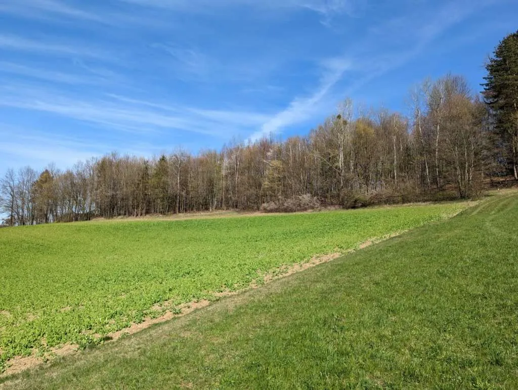 Kleine Landwirtschaft ideal für Pferdehaltung in schöner Lage (6013) – pohled 3