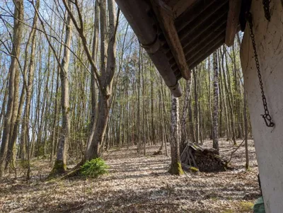 Grundstück kaufen in Leibnitz – 25 000 m², € 310.000 – Bild 8 von 8