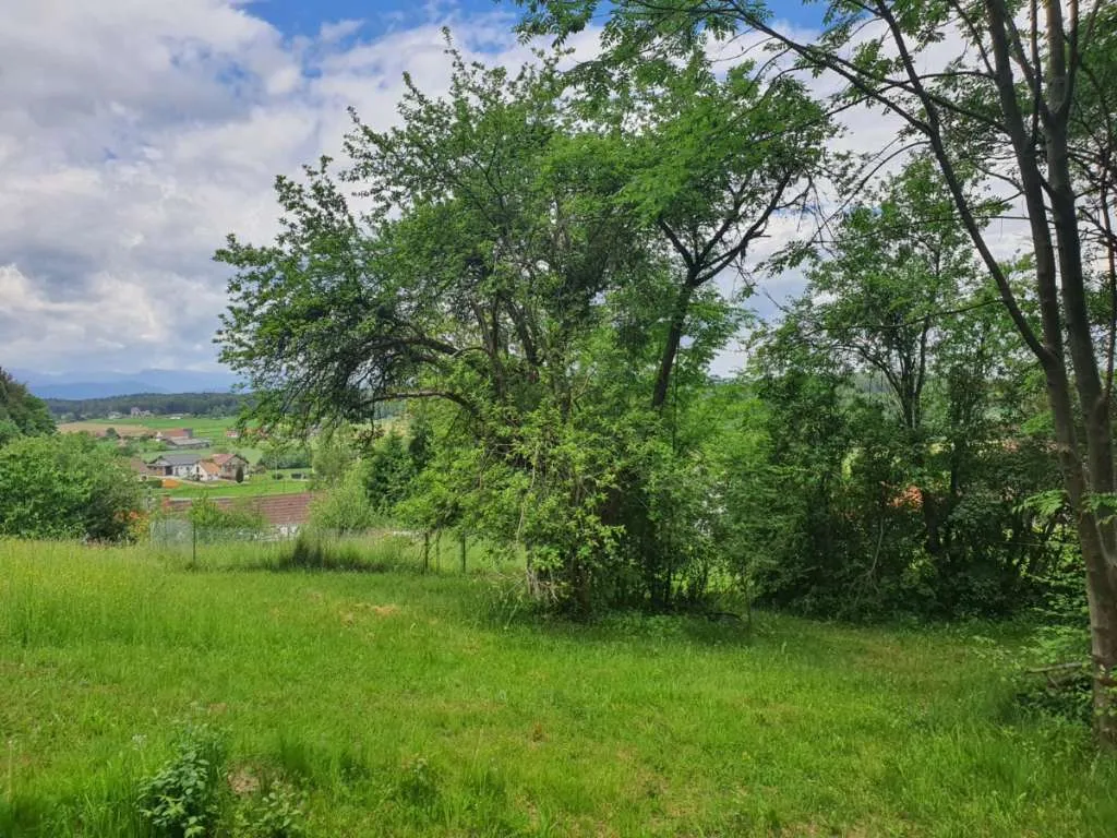 Kleine Landwirtschaft ideal für Pferdehaltung in schöner Lage (6013) – pohled 2