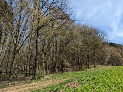 Grundstück kaufen in Leibnitz – 25 000 m², € 310.000 – Bild 5 von 8