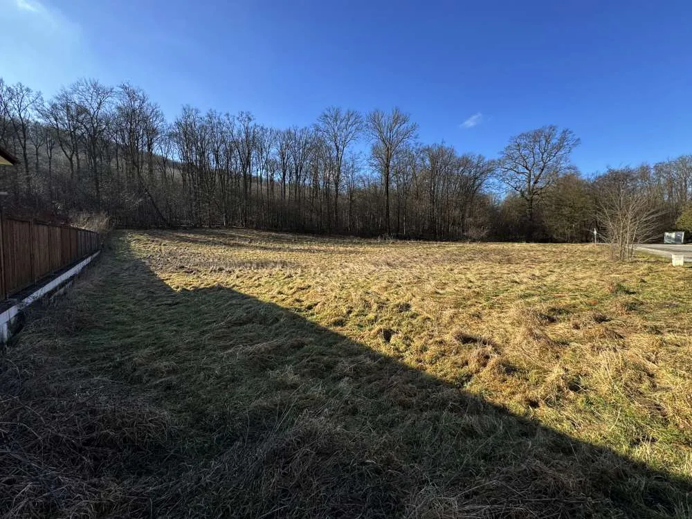 Breitenfurt Ostende - großes Baugrundstück - direkte Waldrandlage am Wienerwald - Ansicht 2