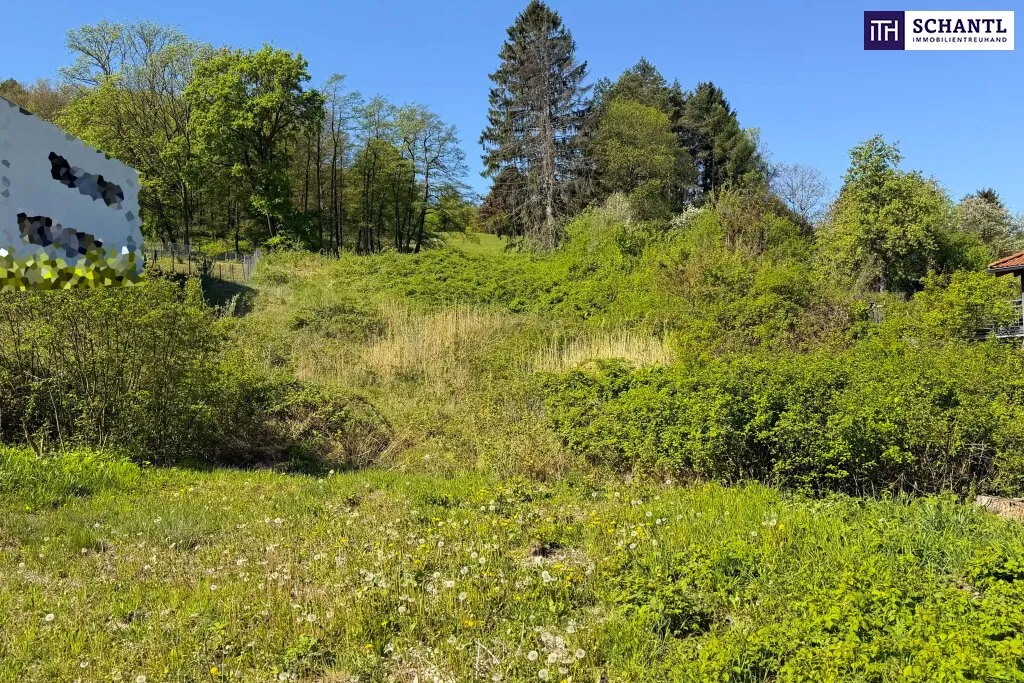 Sonnige Liegenschaft mit Entwicklungspotenzial in Klosterneuburg - Widok 3