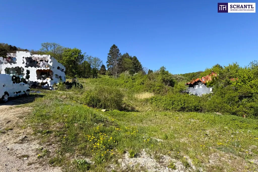 Sonnige Liegenschaft mit Entwicklungspotenzial in Klosterneuburg - Widok 2
