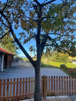 3-Zimmer-Wohnung mieten in Innsbruck-Land – 90 m², € 1.600 – Bild 2 von 20