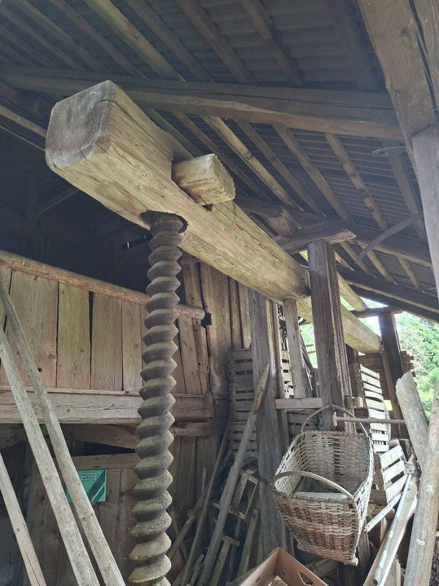Baumpresse, Presse