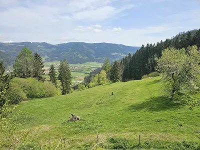 Haus kaufen in Sankt Veit an der Glan – 76,57 m², € 245.000 – Bild 45 von 49