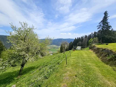 Haus kaufen in Sankt Veit an der Glan – 76,57 m², € 245.000 – Bild 8 von 49