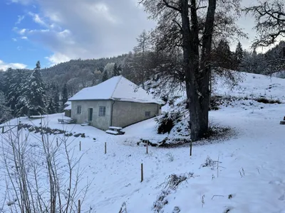 Haus kaufen in Sankt Veit an der Glan – 76,57 m², € 245.000 – Bild 48 von 49