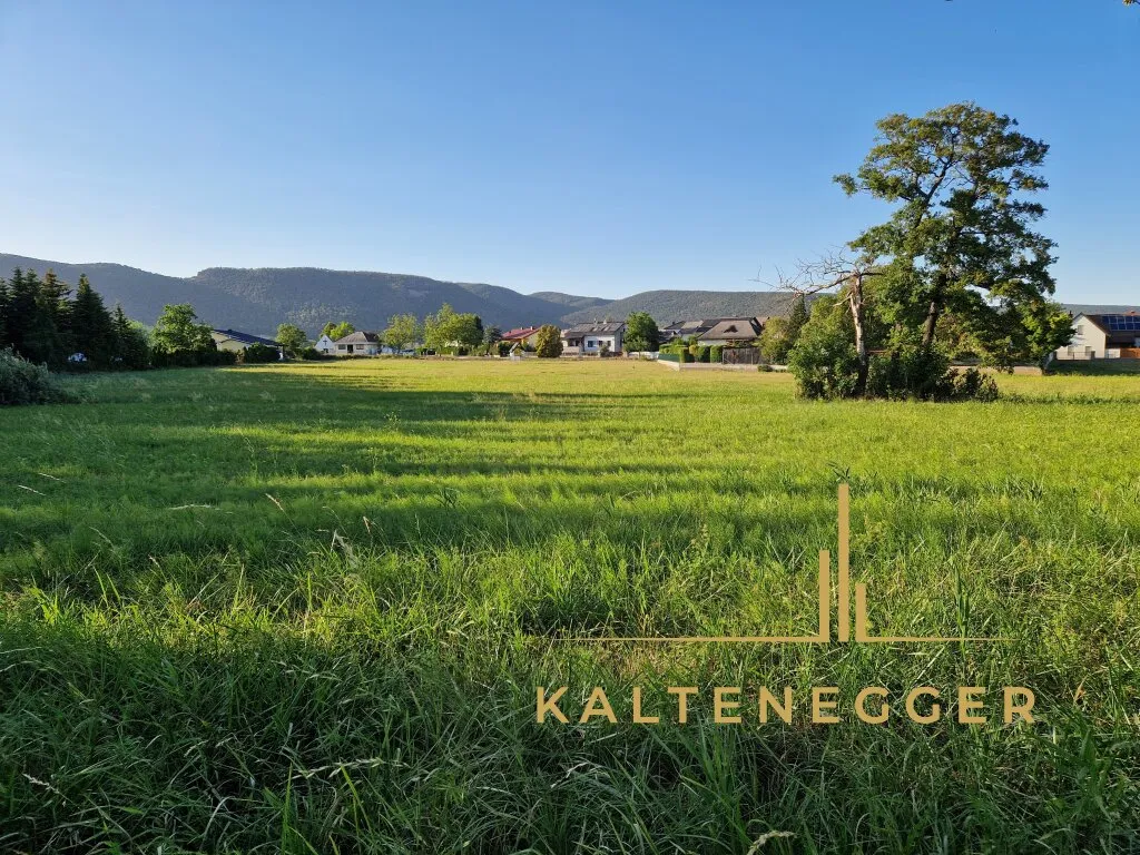 2489 m² großes Grundstück nahe zu Wiener Neustadt in naturbelassener Gegend - Ansicht 3