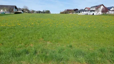 Grundstück kaufen in Grieskirchen – 862 m², € 153.000 – Bild 3 von 3