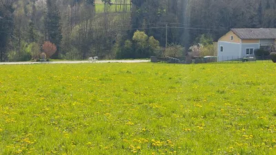 Grundstück kaufen in Grieskirchen – 862 m², € 153.000 – Bild 2 von 3