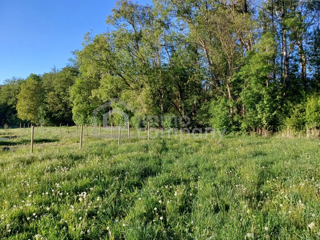 Ihr sonniges Gartengrundstücke am Ortsrand von Willendorf - Ansicht 2