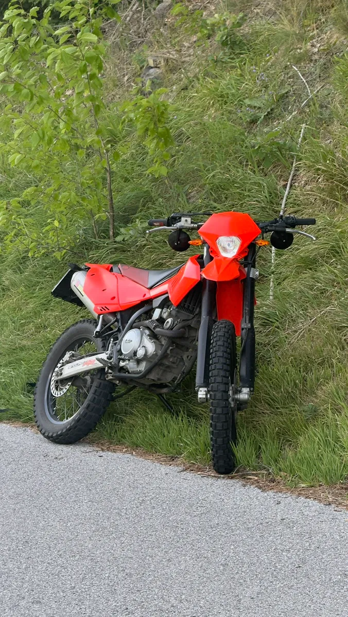 Beta RR