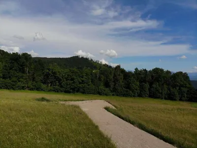 Grundstück kaufen in Klagenfurt Land – 2 000 m², € 320.000 – Bild 21 von 29