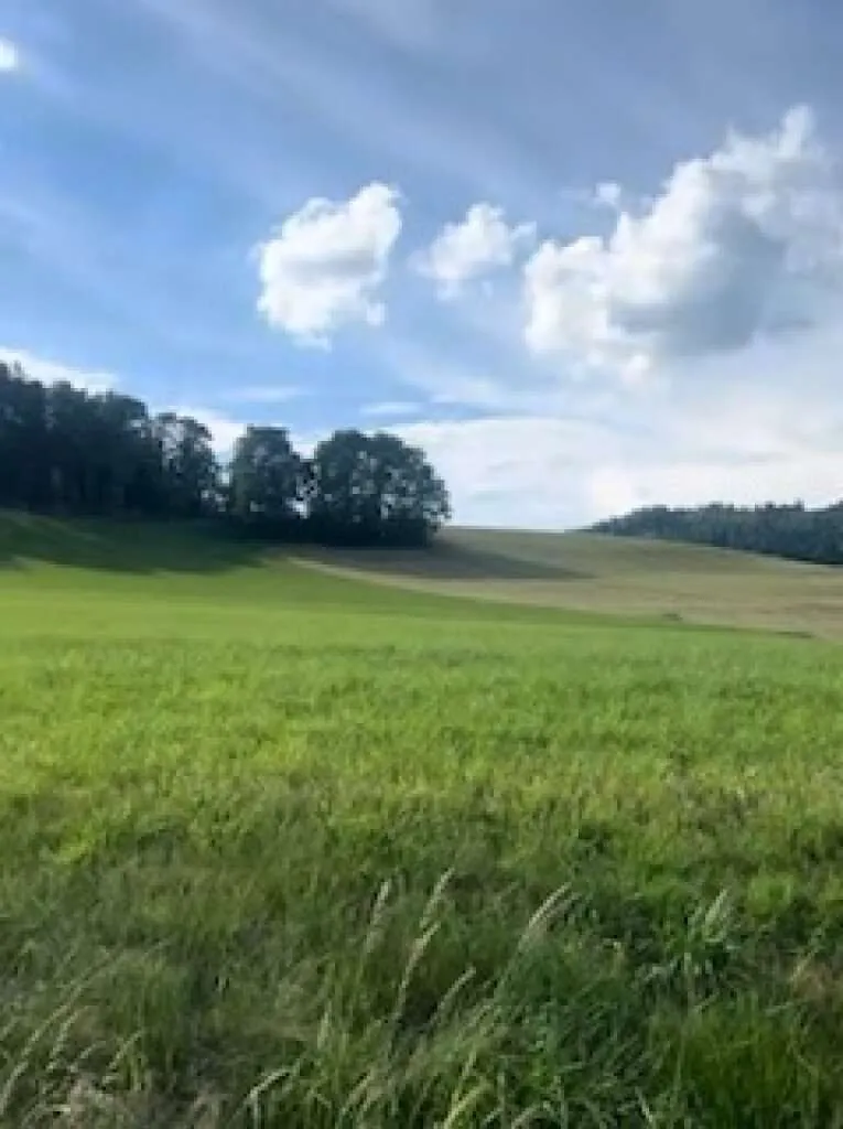 Fünf traumhafte, vollaufgeschlossene Grundstücke mit einem umwerfenden Panoramablick in Latschach am Magdalensberg - Ansicht 2
