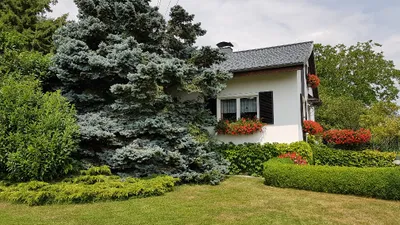 5-Zimmer-Haus kaufen in Ried im Innkreis – 100 m², € 293.000 – Bild 2 von 23