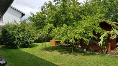 5-Zimmer-Haus kaufen in Ried im Innkreis – 100 m², € 293.000 – Bild 3 von 23