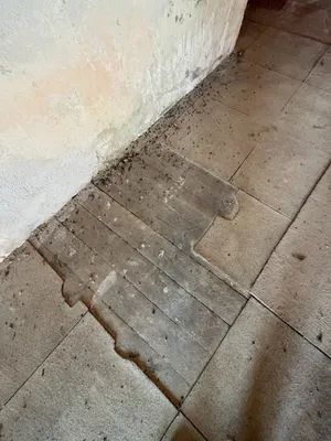 Gewerbeimmobilie kaufen in Bruck an der Leitha – 190 m² – Bild 21 von 25