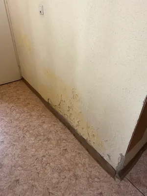 Gewerbeimmobilie kaufen in Bruck an der Leitha – 190 m² – Bild 15 von 25