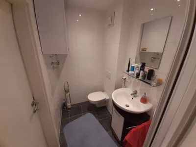 1-Zimmer-Wohnung mieten in Graz – 27,12 m², € 494 – Bild 9 von 10