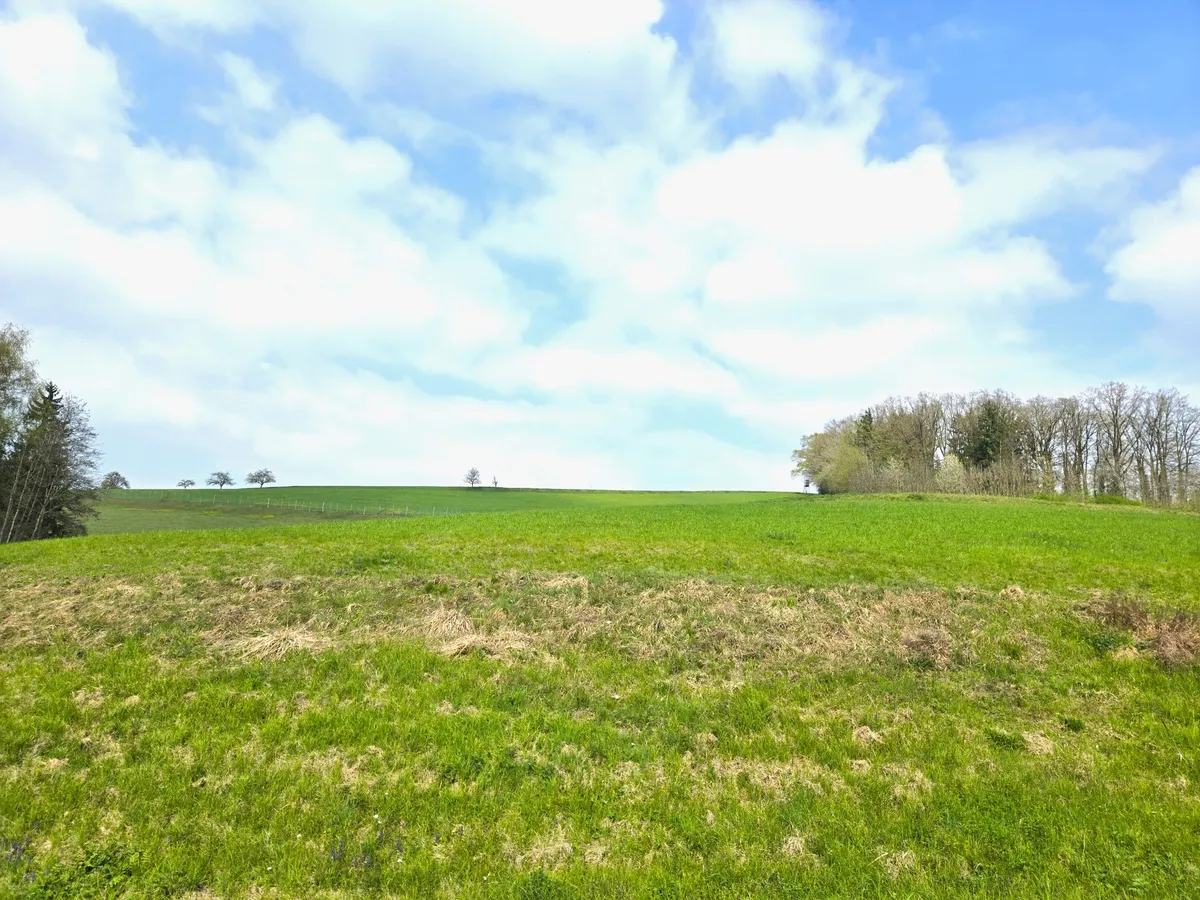 Schönes landwirtschaftliches Grundstück in Waizenkirchen / Stroheim - Ansicht 2