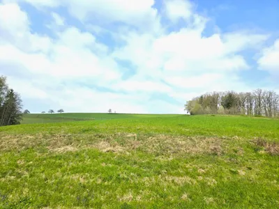 Grundstück kaufen in Grieskirchen – 8 618 m², € 41.000 – Bild 2 von 5